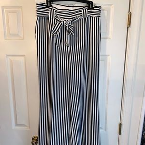 Express wide leg pant